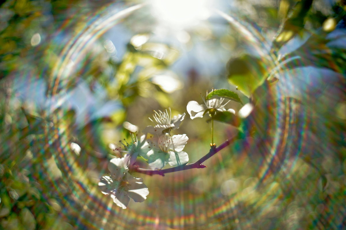 фото из интернета