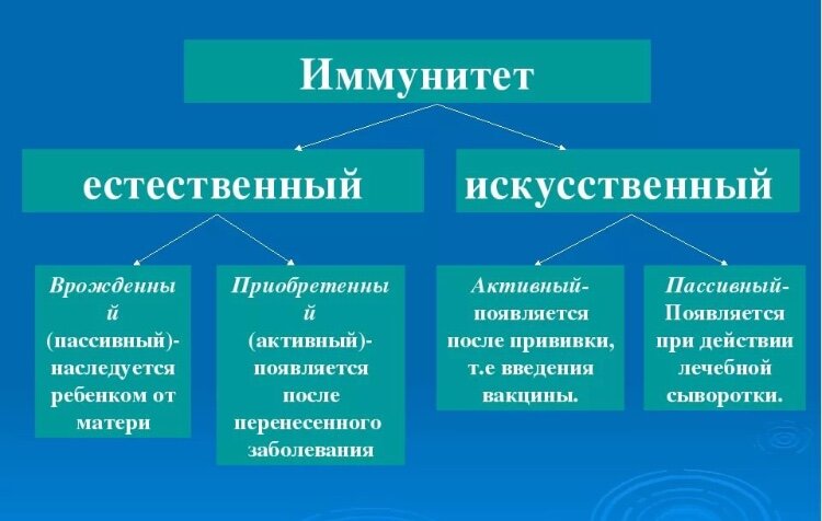 Картинки Яндекс