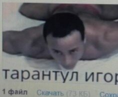  физкультура  дистанционно