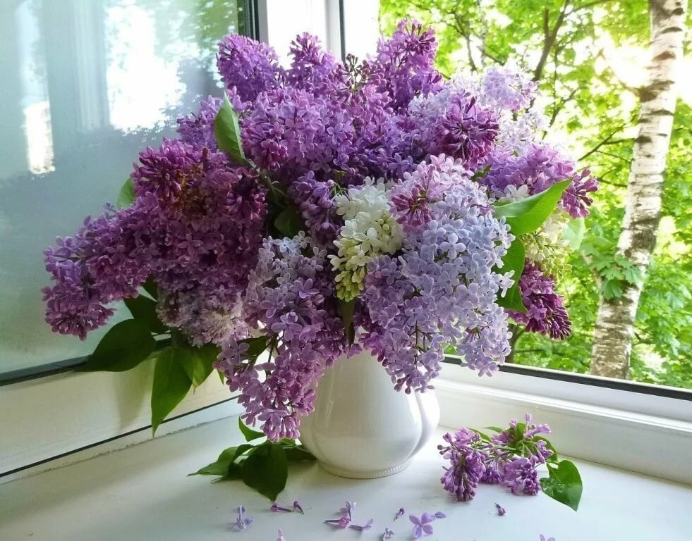 Источник: yandex.com