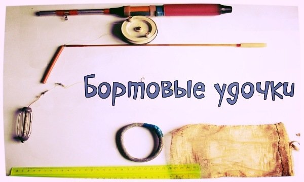 фото с интернета.