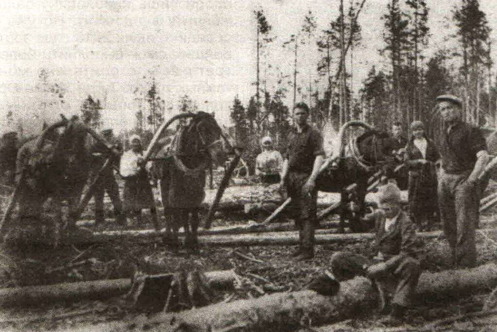 Фото из сервиса  Яндекс-картинок.