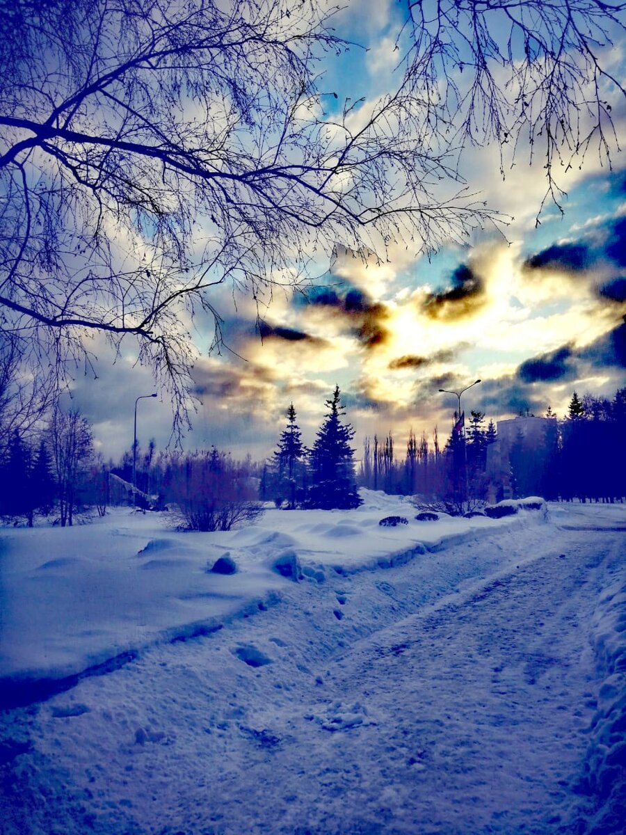 Парк вечером