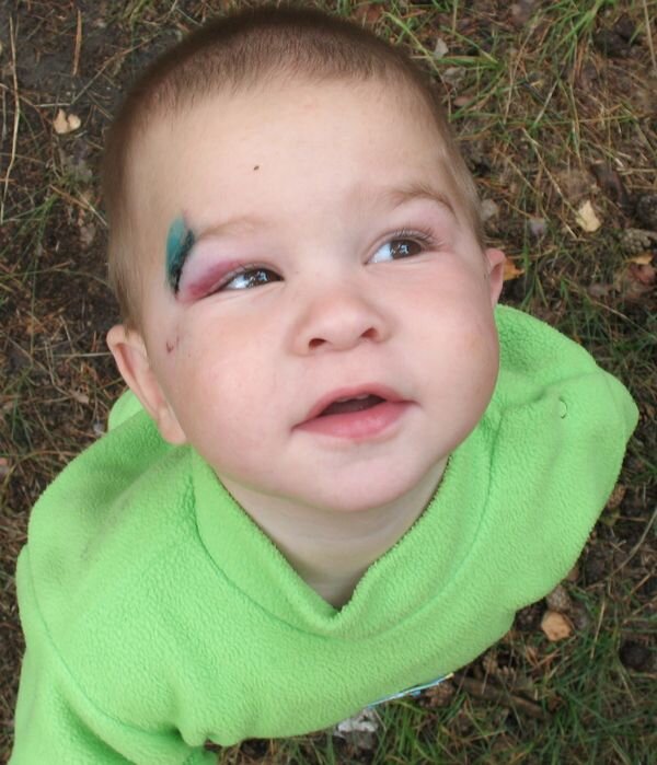 яндекс картинки