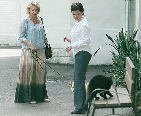 "Я тоже хочу дебютировать в кино!"- с шипением заявляет кошка и начинает играть роль "хозяйки двора".