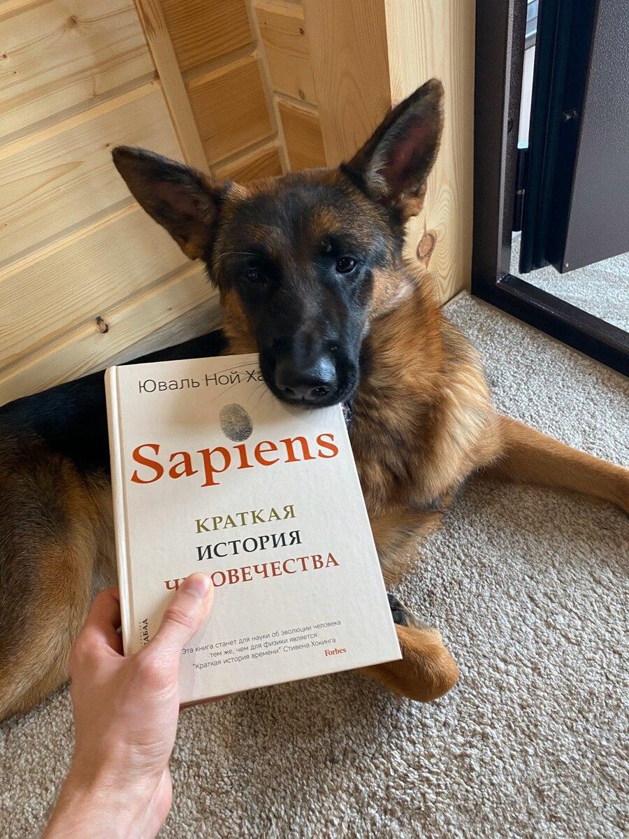 Sapiens хорошая книга, но для старта тяжеловата.