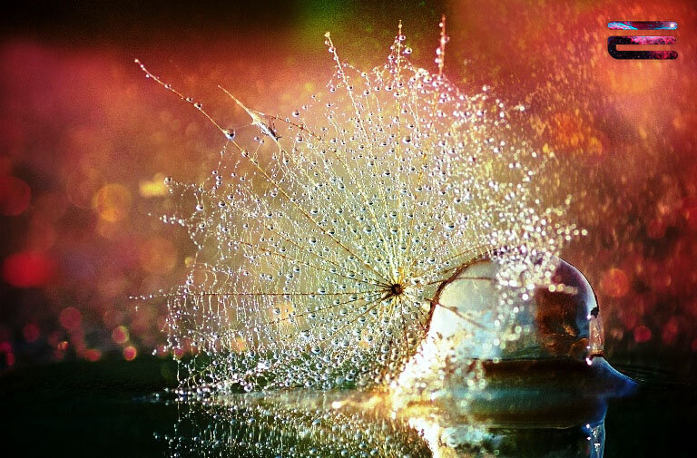 картинки взяты из открытых источников