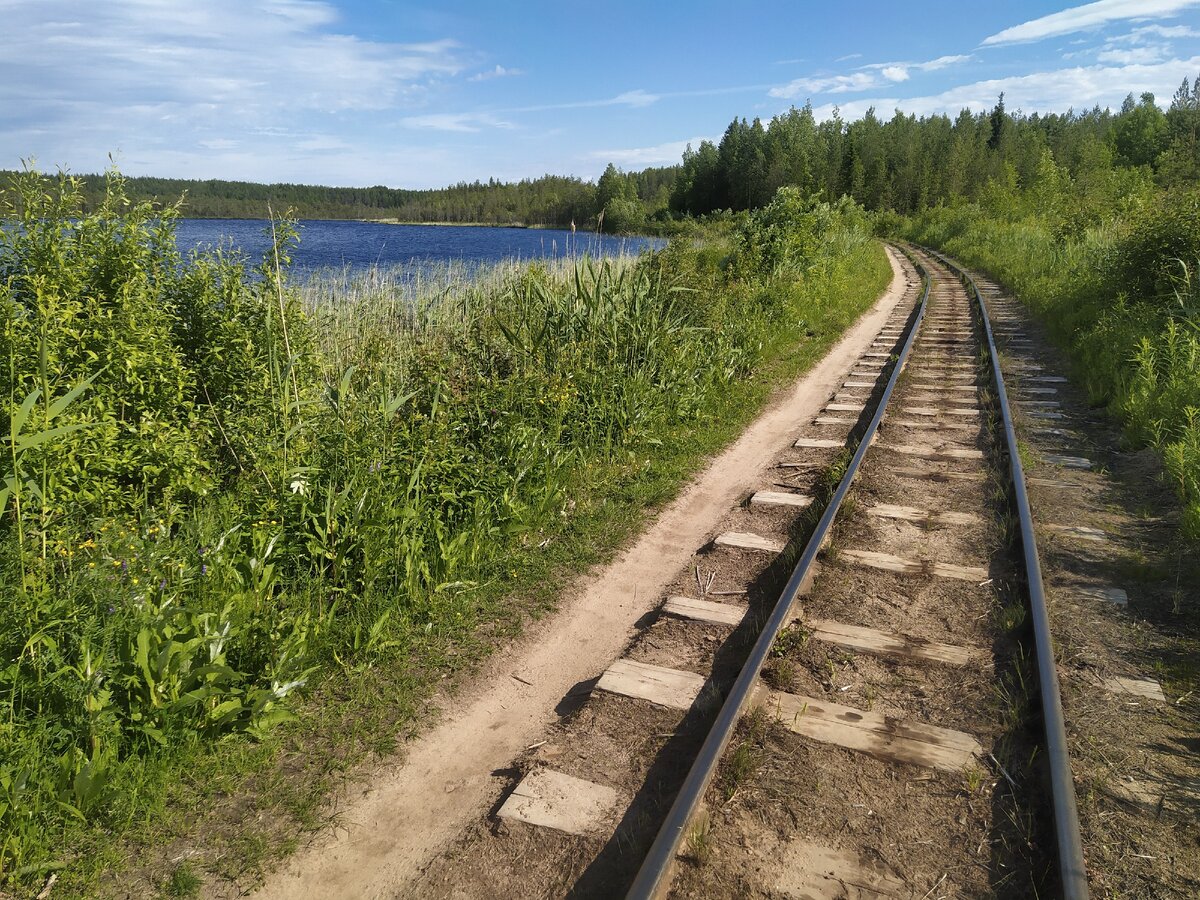 Узкоколейка Северодвинск белое озеро