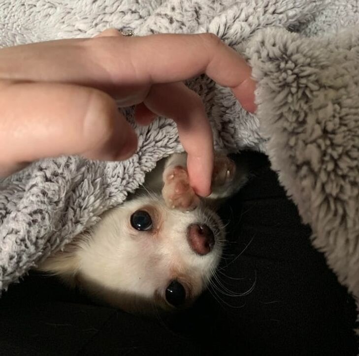 © octopusalert / reddit