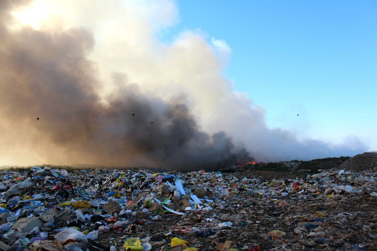 Иллюстрация из интернета 