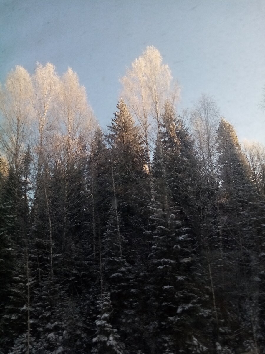 Сделал фотку когда ехал 