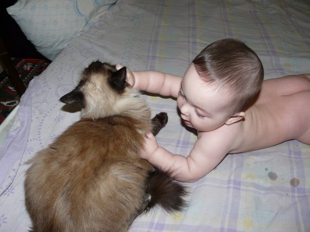 дитю 5 месяцев (доползли до кисы)