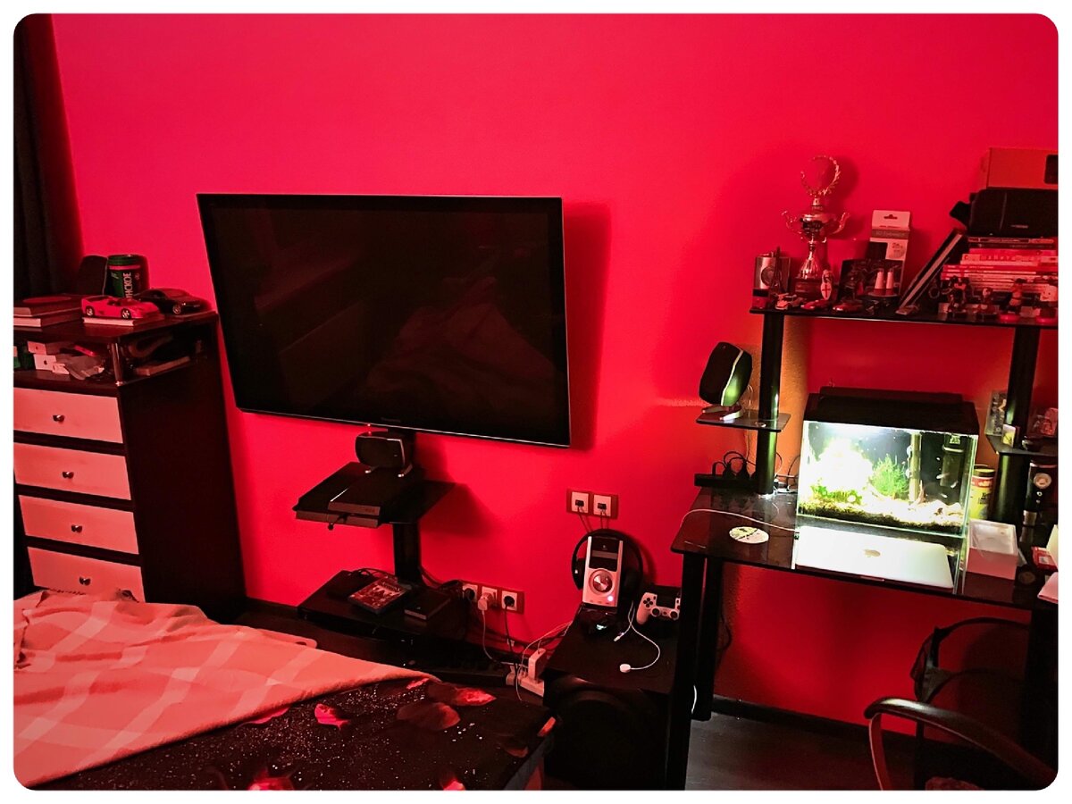 Мое гнездо холостяка ДО обновления :)