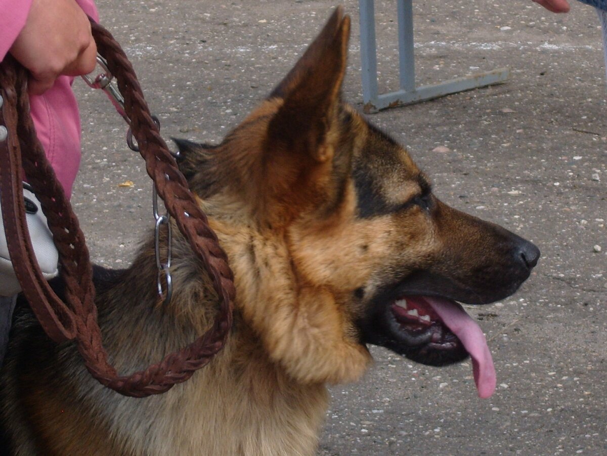 Авторское фото