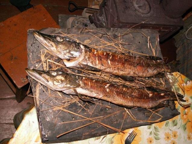 сушеная щука