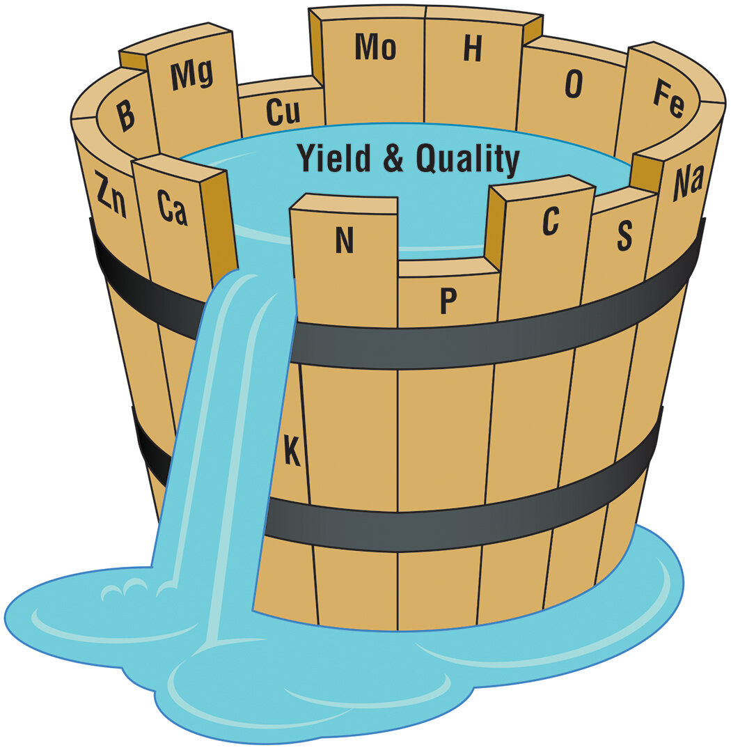 Фотографии ЗАКОН МИНИМУМА СУТЬ