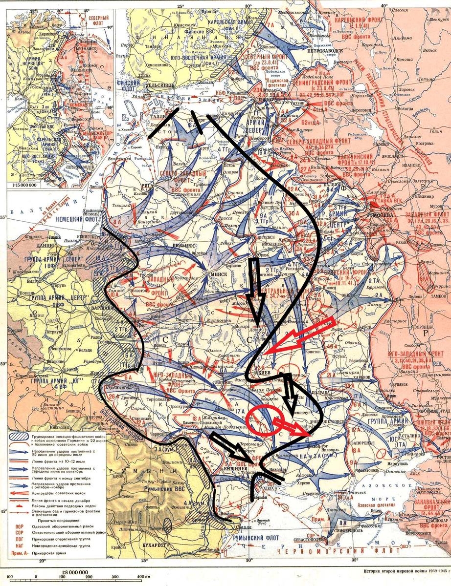 (Фото взято из открытых источников).