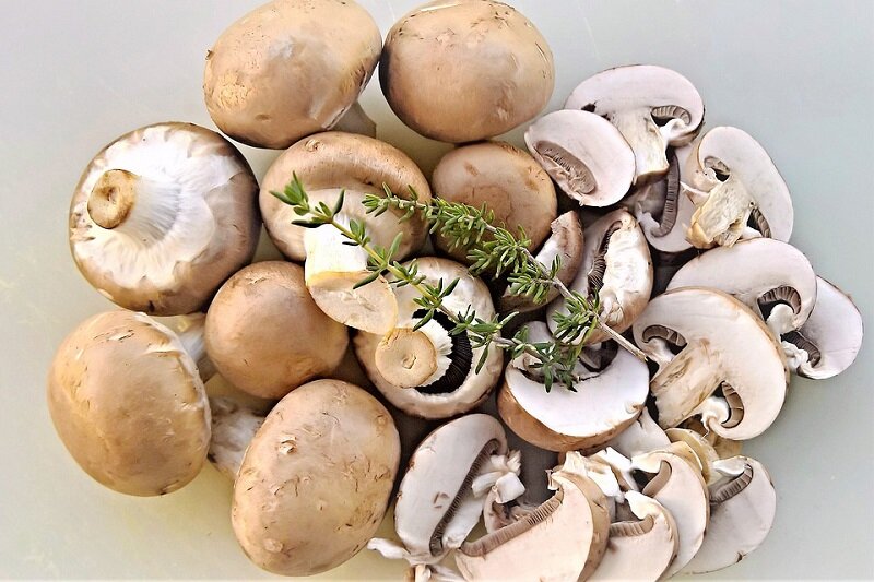 Шампиньоны — одни из немногих грибов, которые люди научились выращивать