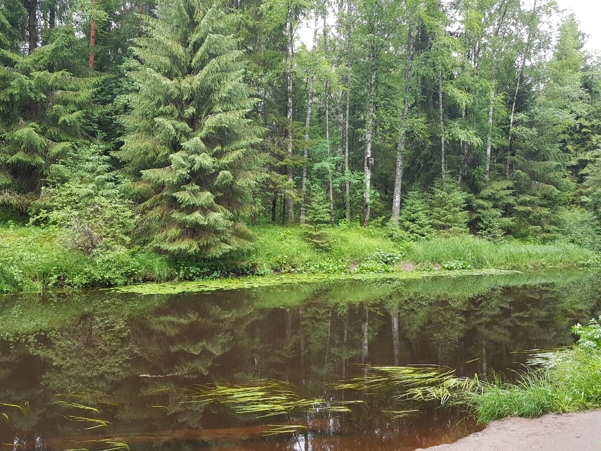 Подписывайтесь на канал=✔, ставьте лайк=👍