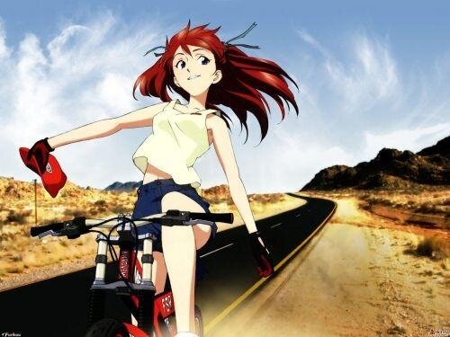 Neon Genesis Evangelion— аниме-сериал 