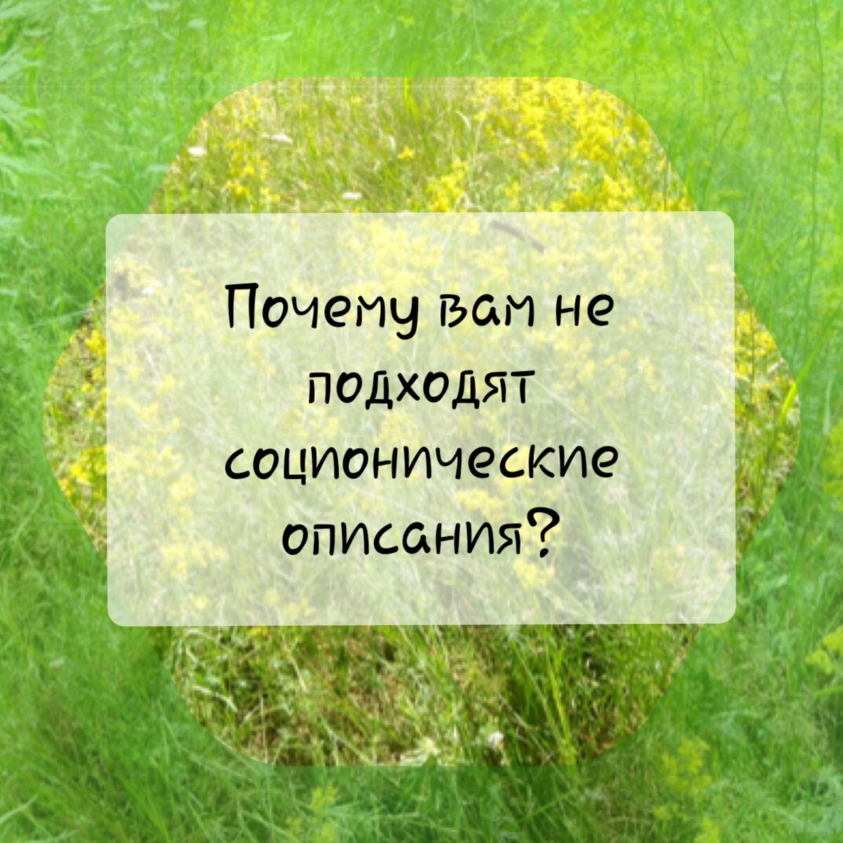 изображение автора