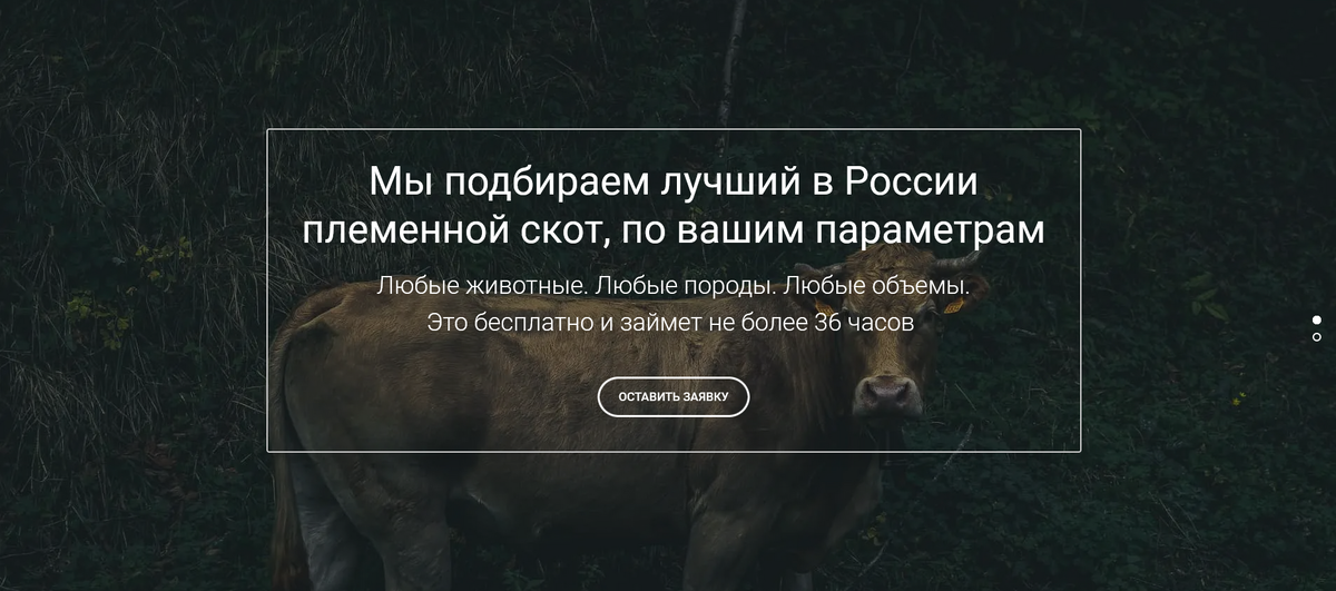 Чтобы запустить поиск, достаточно только указать свой сотовый. Оператор вам сам перезвонит. Скрин-шот с skot.rosng.ru.