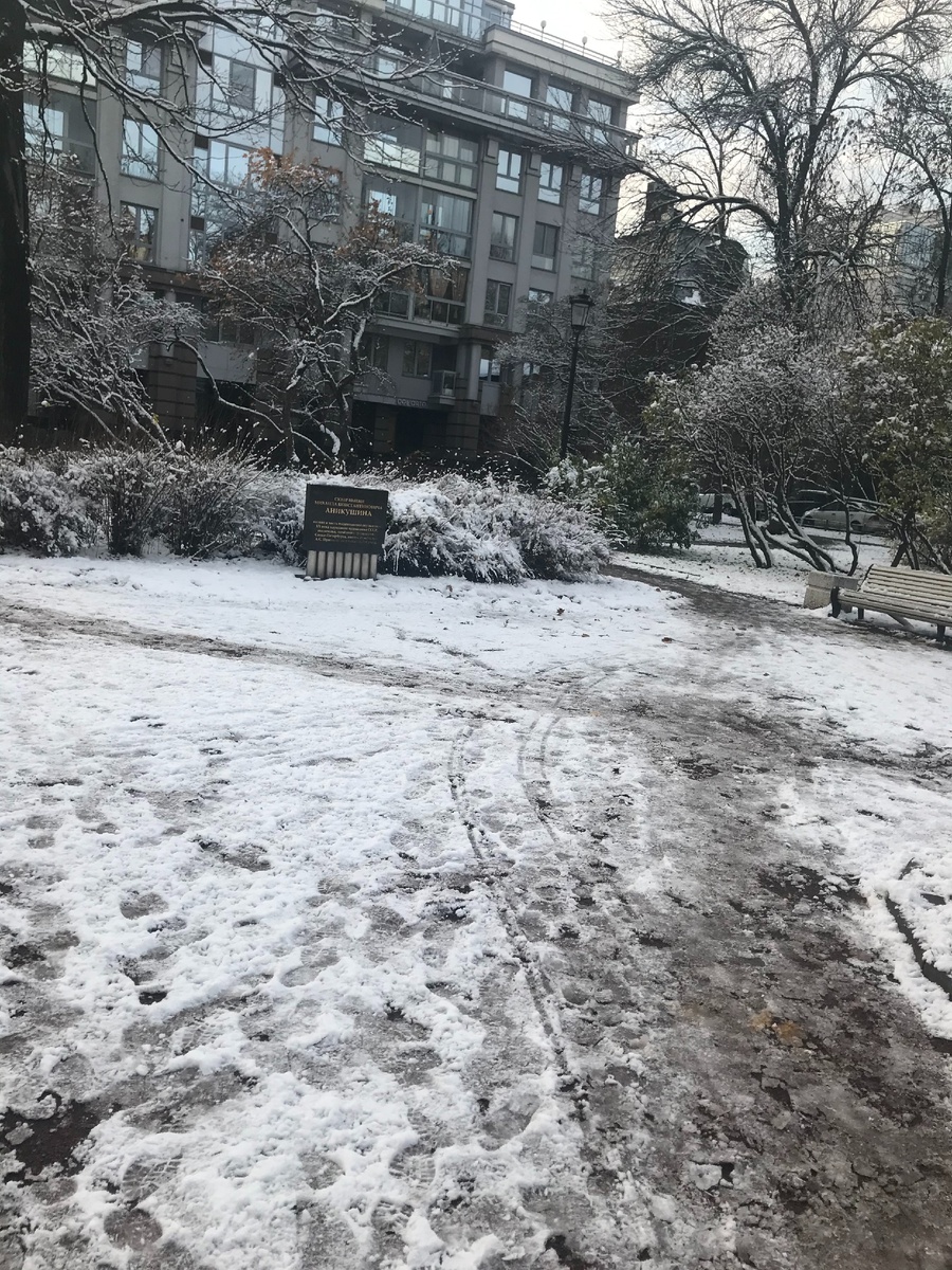 Питерский парк