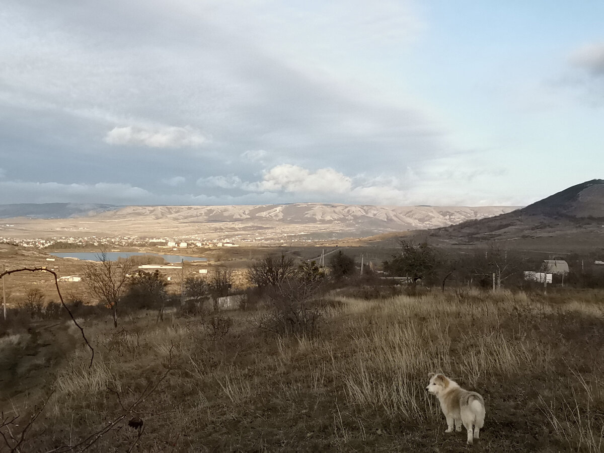 Повеселела долина. 