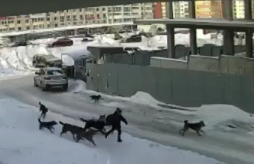 Из открытых источников.