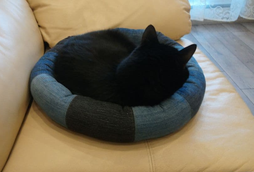 Все фотографии - авторские