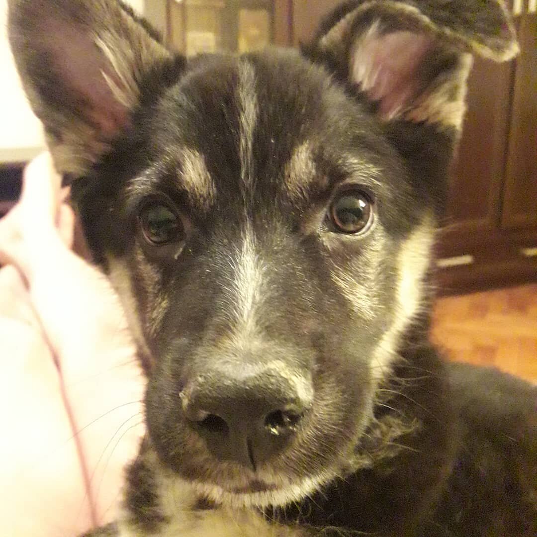 Я единственная в нашей семье, кто умеет делать себяшки. Вы со мной согласны? 