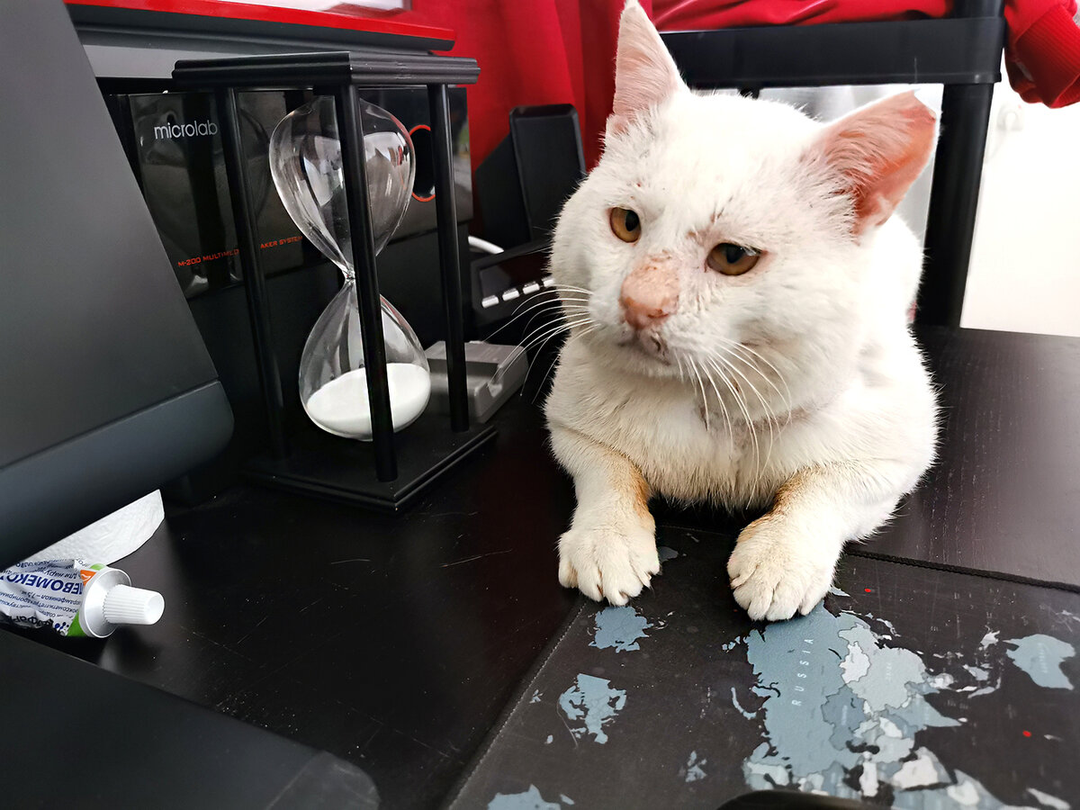 Фото автора