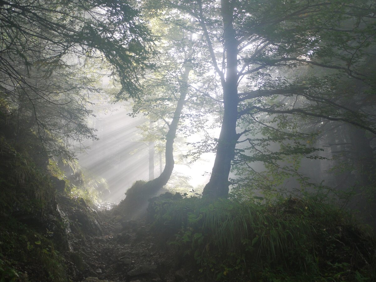 Фото взято с pixabay.com.