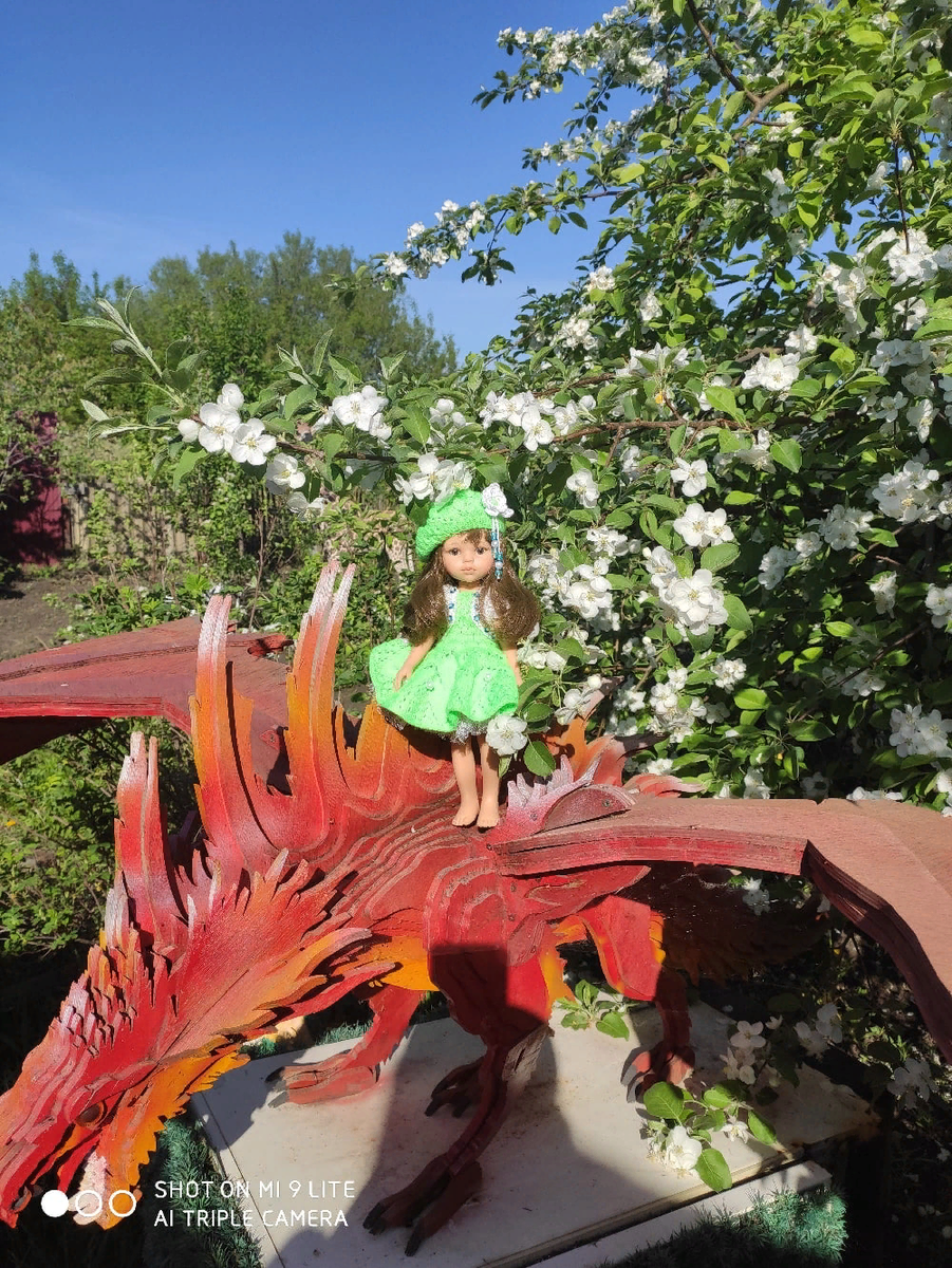 Яблоня цветет