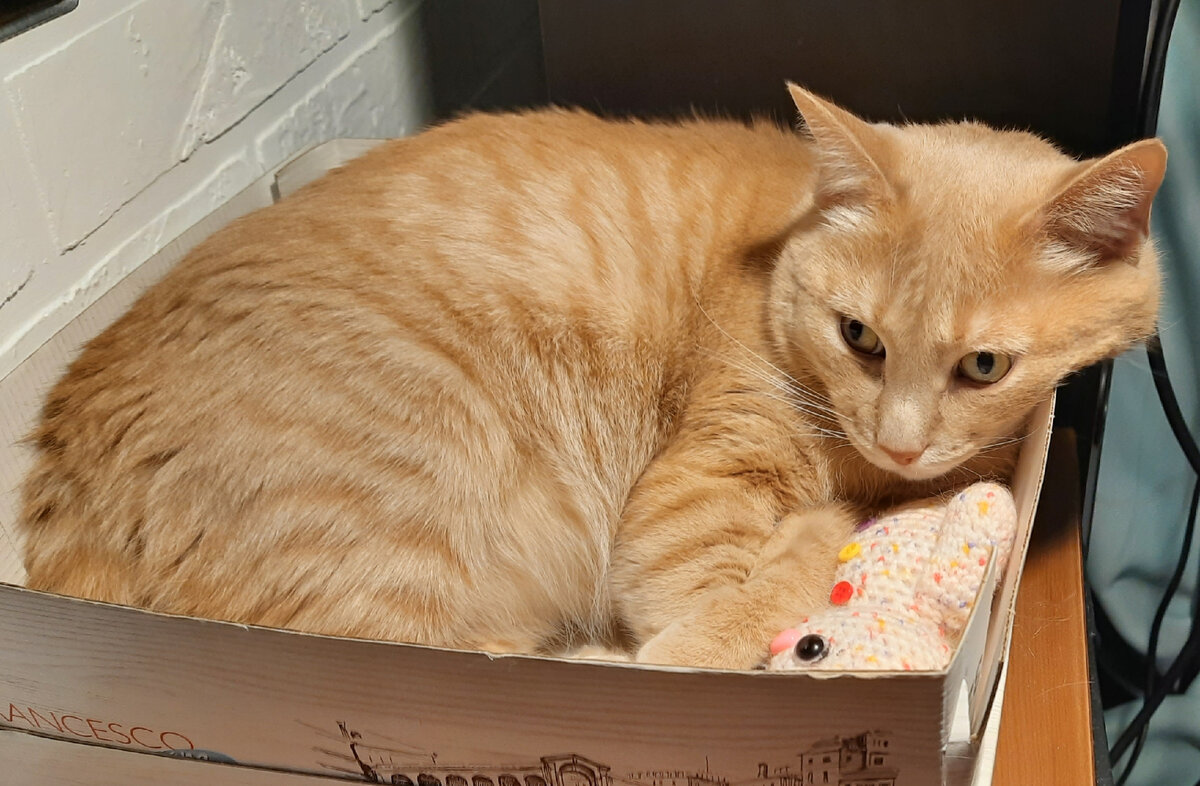 Мне кажется, или у него взгляд тут какой-то плотоядный)))