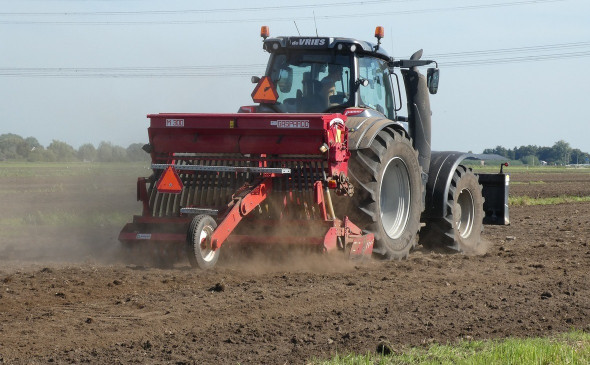 Фото: pixabay.com 