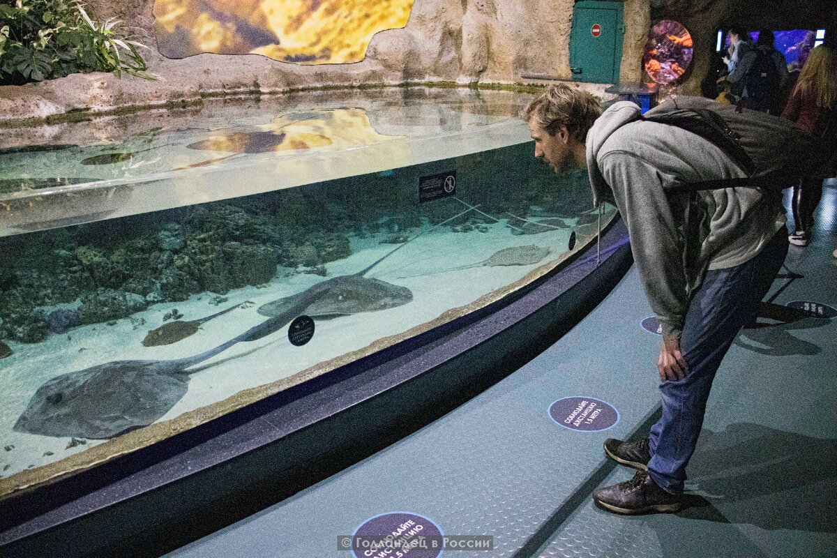 Здесь больше 80 аквариумов с рыбами с разных концов нашего мира. К каждому аквариуму можно подойти очень близко и рассмотреть детали рыб, как они сотрудничают и общаются друг с другом. Фото: из личного архива