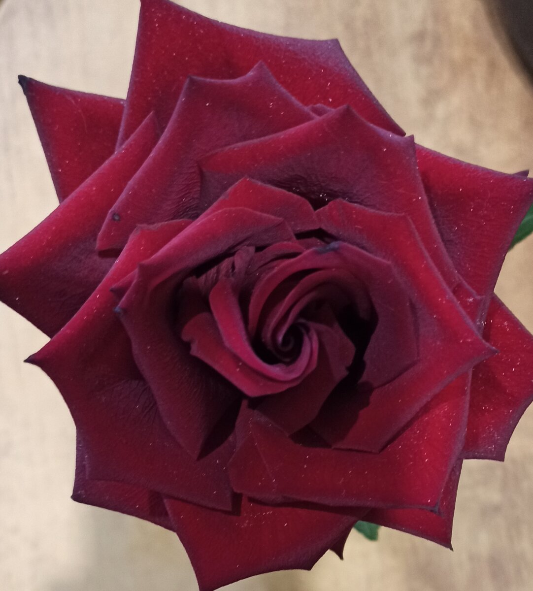 Вот так она выглядит сейчас.