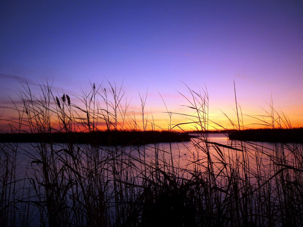 Заказник "Кирзинский". Фото Е. Скоробогатова, из архива заказника