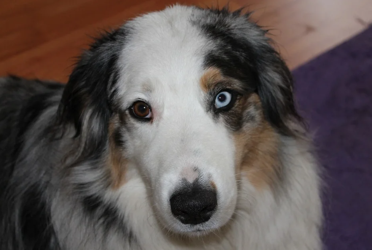 Добавьте описание