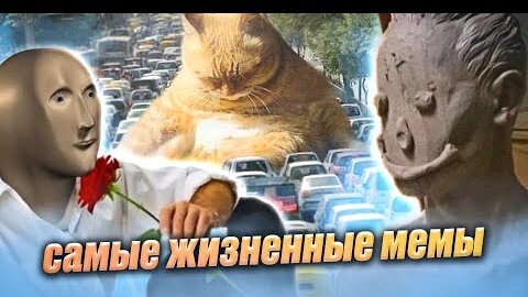 Мемы, которые сделали мой день!