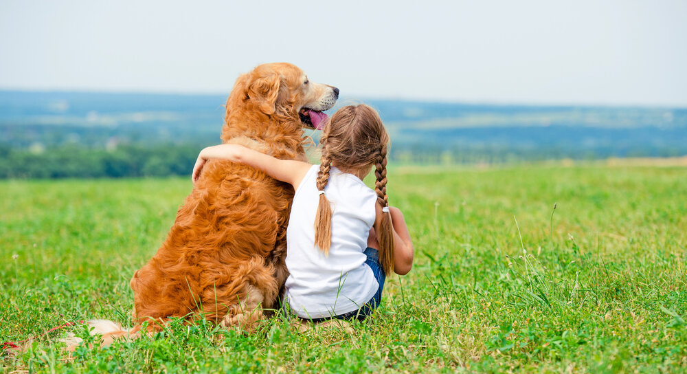 Фото: ShutterStock/Fotodom.ru