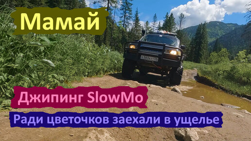 Мамай. Джипинг в SlowMo. Чтобы поснимать цветочков заехали на джипе.