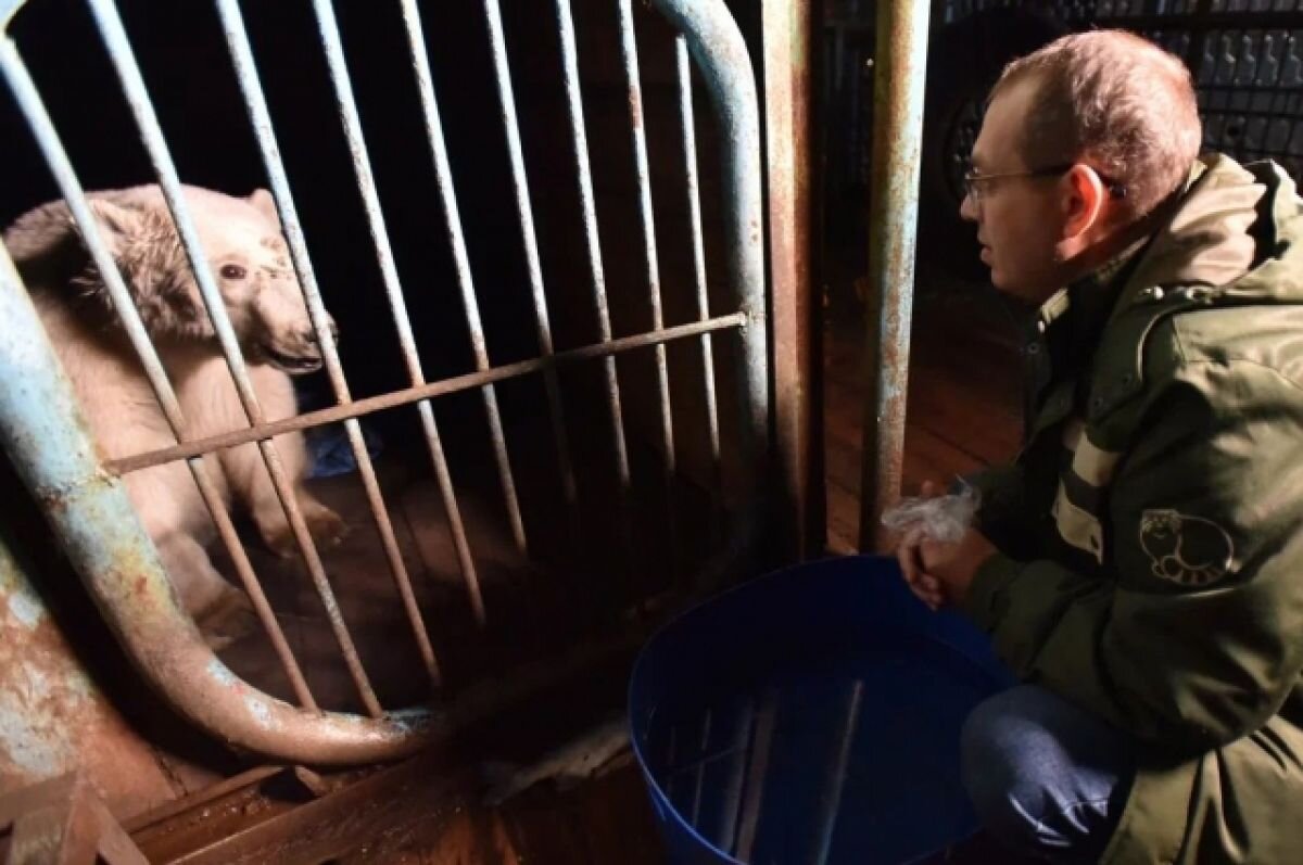    Животное оказалось самцом.