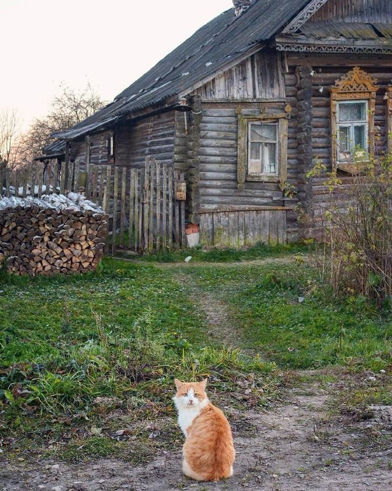 Фото из интернета