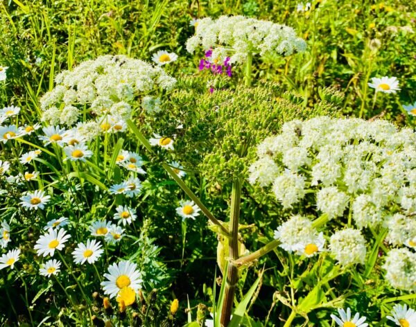    Фото: Никита Чудин