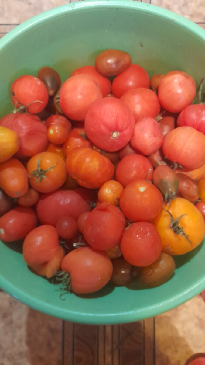 Некоторые уже вялые только на еду