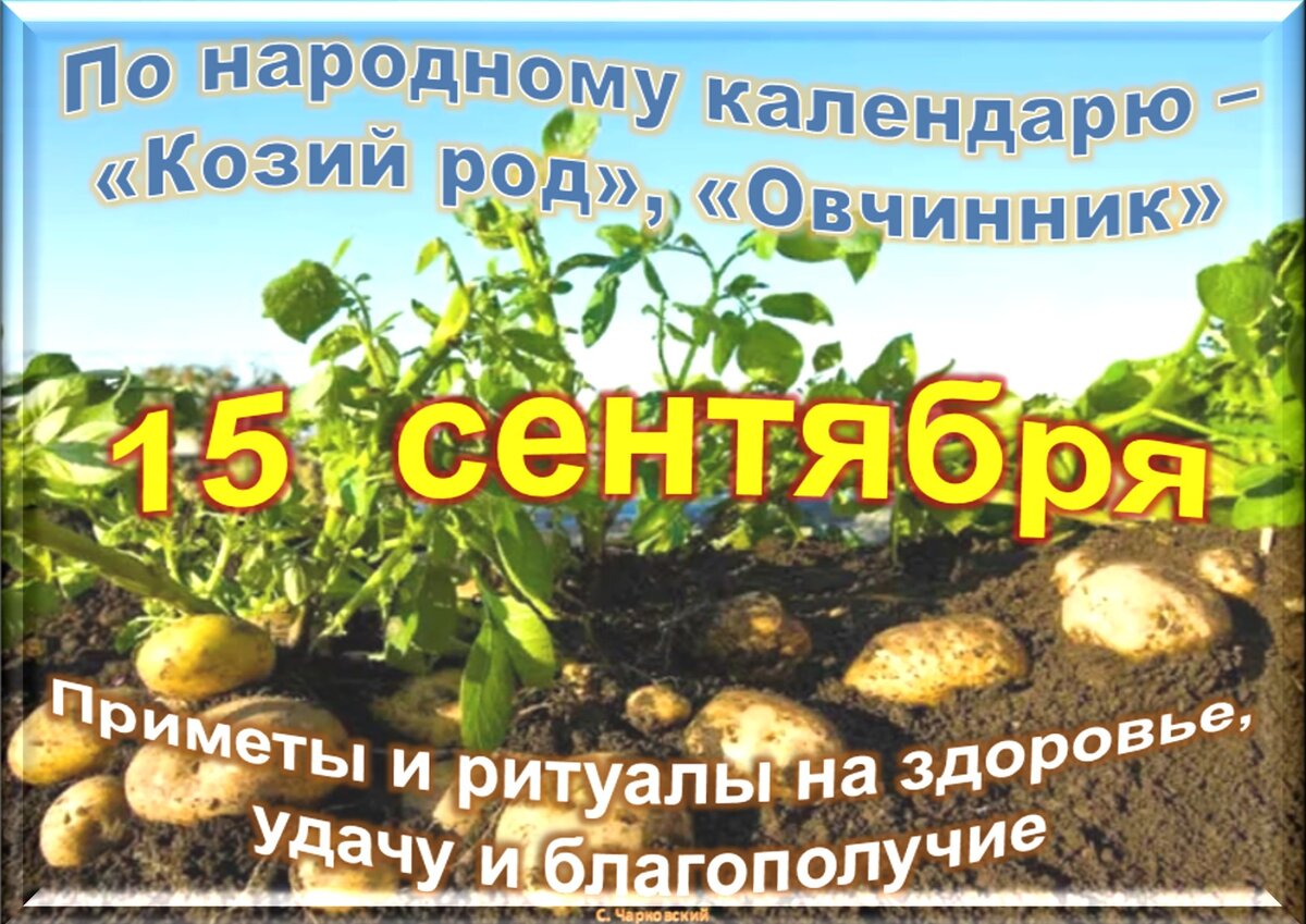 Встречаем новый день