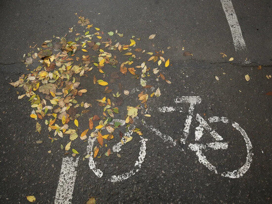     © Фото: ИД «Волгоградская правда» / Кирилл Брага / архив.