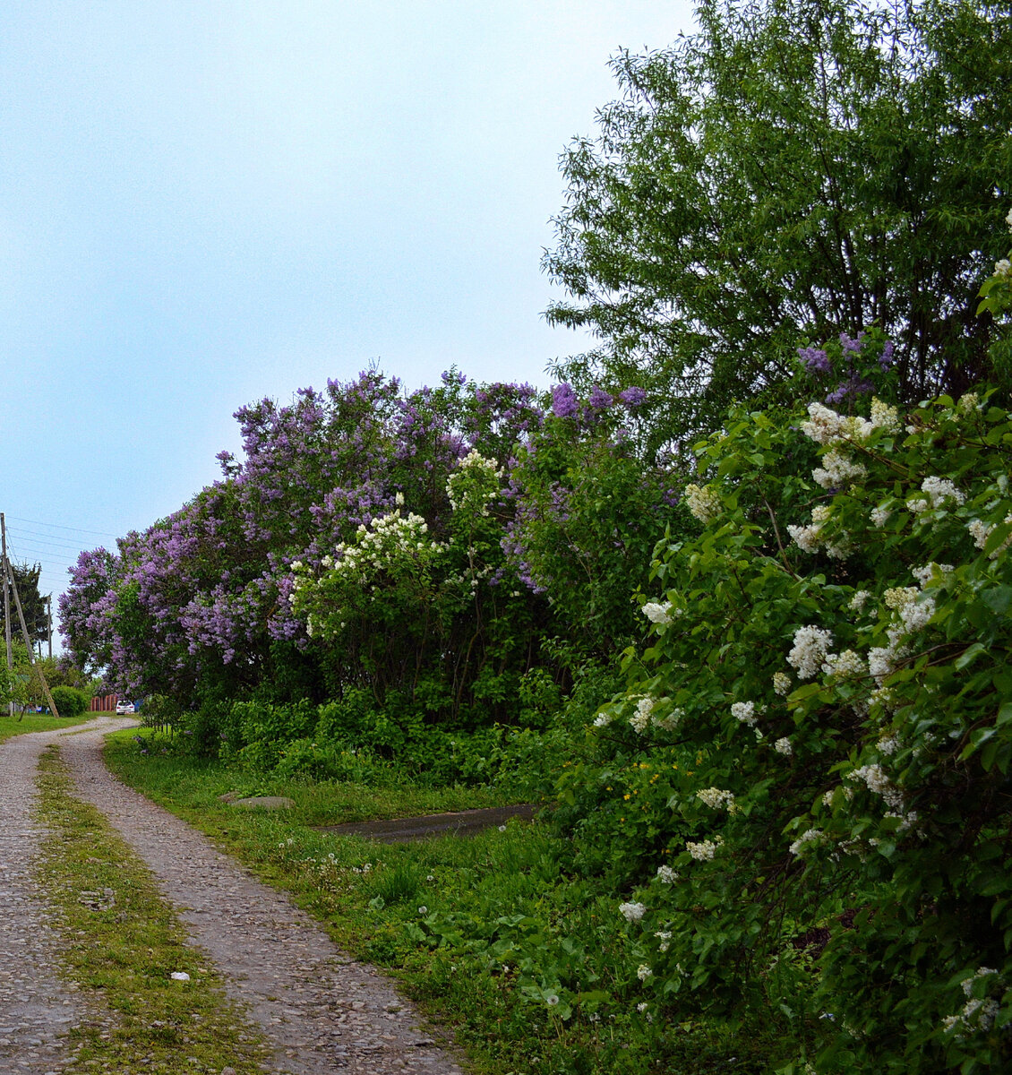 По деревне мы пойдём! Все фотографии в статье мои. 